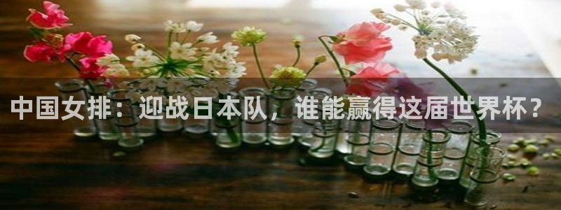 足球世预赛：中国女排：迎战日本队，谁能赢得这届世界杯？