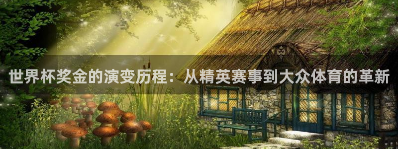 世界杯直播：世界杯奖金的演变历程：从精英赛事到大众体育的革新