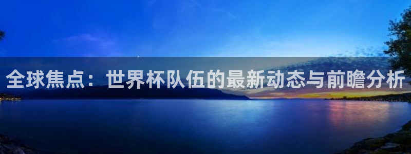 足球世预赛：全球焦点：世界杯队伍的最新动态与前瞻分析