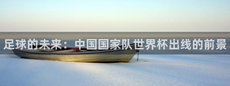 2026年世界杯时间表：足球的未来：中国国家队世界杯出线的前景