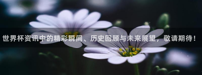 英足总杯直播：世界杯资讯中的精彩瞬间、历史回顾与未来展望，敬请期待！