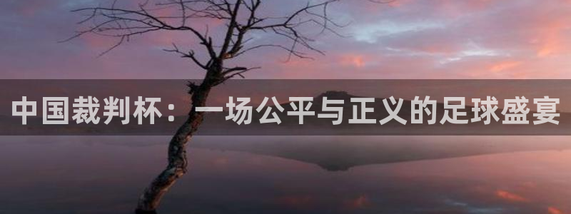 2026世界杯欧洲预选赛赛程表：中国裁判杯：一场公平与正义的足球盛宴