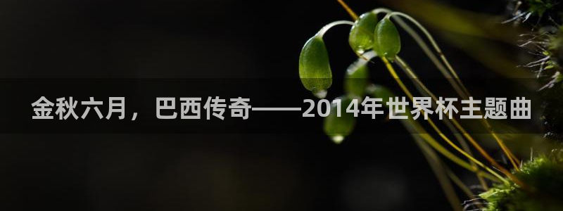 中国 世界杯：金秋六月，巴西传奇——2014年世界杯主题曲