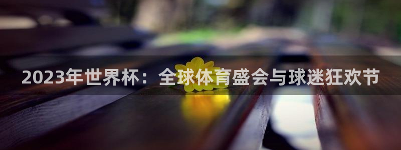 世界杯直播在线观看入口：2023年世界杯：全球体育盛会与球迷狂欢节