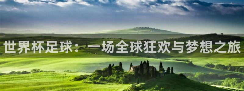 世界杯比赛：世界杯足球：一场全球狂欢与梦想之旅