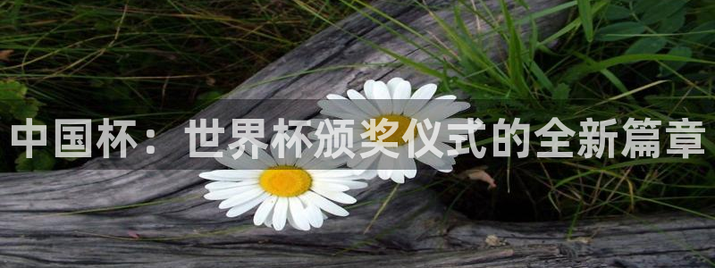 2026世亚预赛赛程表：中国杯：世界杯颁奖仪式的全新篇章