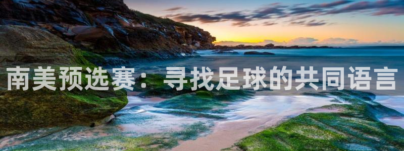 足球杯：南美预选赛：寻找足球的共同语言