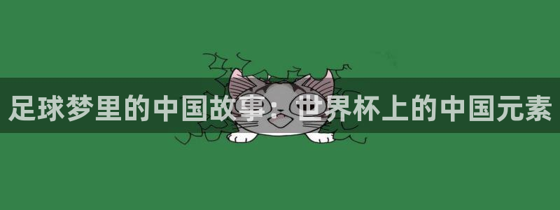 美国世界杯：足球梦里的中国故事：世界杯上的中国元素