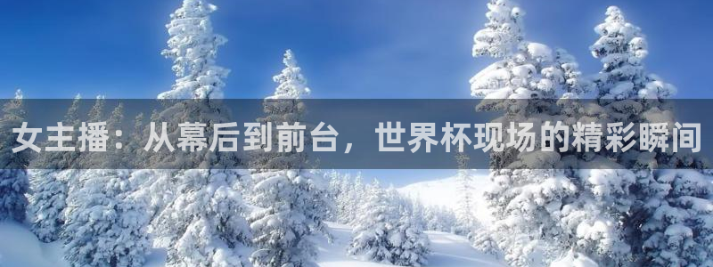 2006年世界杯冠军：女主播：从幕后到前台，世界杯现场的精彩瞬间